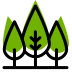 D'Anoia Tree Services and Landcare