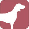 Dierenartsenpraktijk Olst / Wijhe