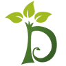 Dapoz Gartengestaltung