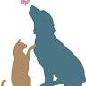 Darien Animal Clinic Glagola Kay DVM