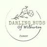 Darling Buds Of Wilburton