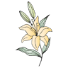 Das Blumenhaus (Doppler-Santner-Ambrosch)
