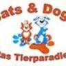 Cats & Dogs Das Tierparadies