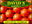 David's Produce Market