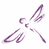 Daydream Designs