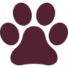 Day Hill Kennels
