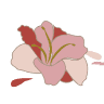 Nieuwetijdscentrum De Rode Amaryllis