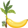De Banaan