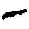 De Bionier
