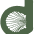 Debrisa