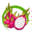 Dragon Fruit Farm in India - Deccan Exotics