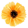 FLORERIA DECOFLOR