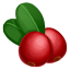 AGF Cranberry Speciaalzaak De