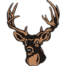 Deer View Homes LLC