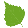 Deeter Nurseries Inc