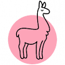 De kleine lama