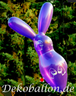 www.dekoballon.de - Arnold Antons