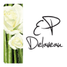 Delaveau Eric-pierre