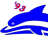 S.S.D. Delfino '93 a r.l.