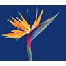 Deli CLEANERS & Alterations