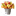 Delightful Fruit Flowers