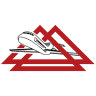 Delta Airport Consultants, Inc.