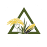 Delta Risk Management