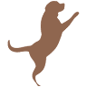 Delaware Valley Veterinary Hospital