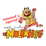 Camping Molenhof
