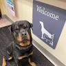 Denbigh Animal Hospital