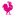 Florists Denizli / Denizli Flower Delivery