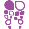 Dentabo Bt. - Dental clinic - Zuglo