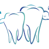 Dental Fitness - Miami Shores