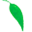 Dentis