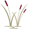 Williams Dentistry: Brandon and Amy Williams DDS