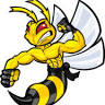 Derby Wasp and Pest Control