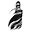 DESERT VEIL