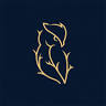Designs Woodcraft LTD
