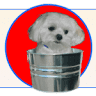 Desilu's Pet Boutique LLC