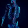 Emerald Coast Chiropractic - Destin
