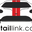 Detail Link INC