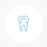 Devon Dental Services