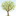 Devon Pediatric Dentistry