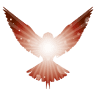 Devoted Bookkeeping LLC