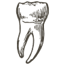 Dexter Endodontics