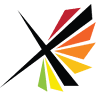 DFX