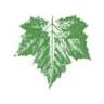 The Green Team ApS