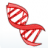 Dhruv Labs