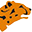 D & S srl