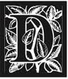 Didi's Boutique